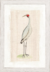 7 × 10 po
