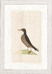 7 × 10 po