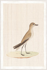 37,25 × 55,25 po