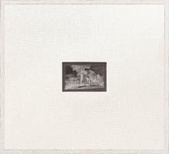 58,42 × 53,34 cm – Fusain