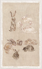 25,25 × 41,25 po