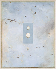 VII – 16,75 × 20,75 po