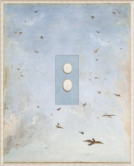 VIII – 16,75 × 20,75 po