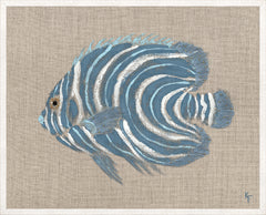 43 × 53 cm – Encadré sous verre