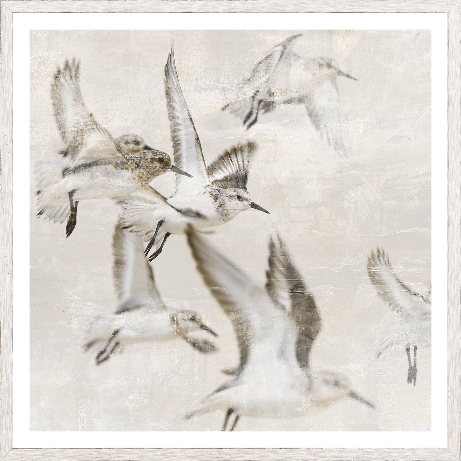 Sand Piper Detail I wall art featuring flying sandpipers in soft neutral tones
