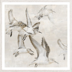 25,25 × 25,25 pouces
