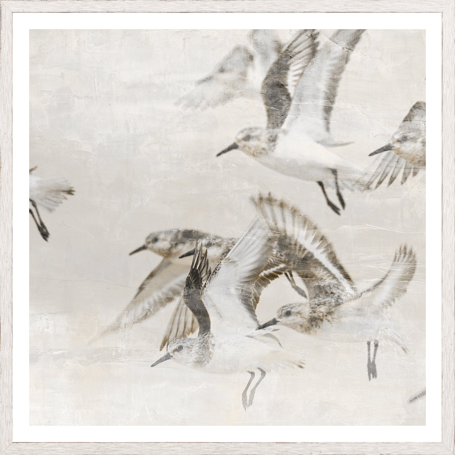 Sand Piper Detail II wall art featuring flying sandpipers in soft beige tones