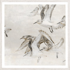 25,25 × 25,25 pouces
