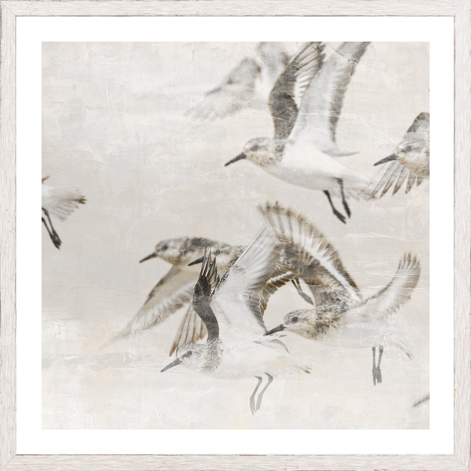 Sand Piper Detail Ii framed art print
