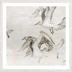 17 × 17 po