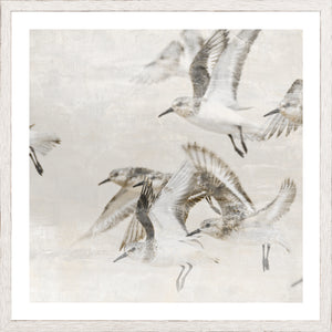 Sand Piper Detail Ii framed art print
