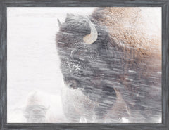 17 × 22 po – Cadre Gris