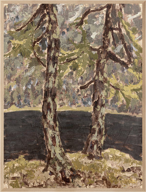 Larch Trees