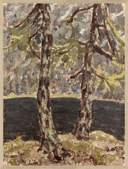 19 × 25 po