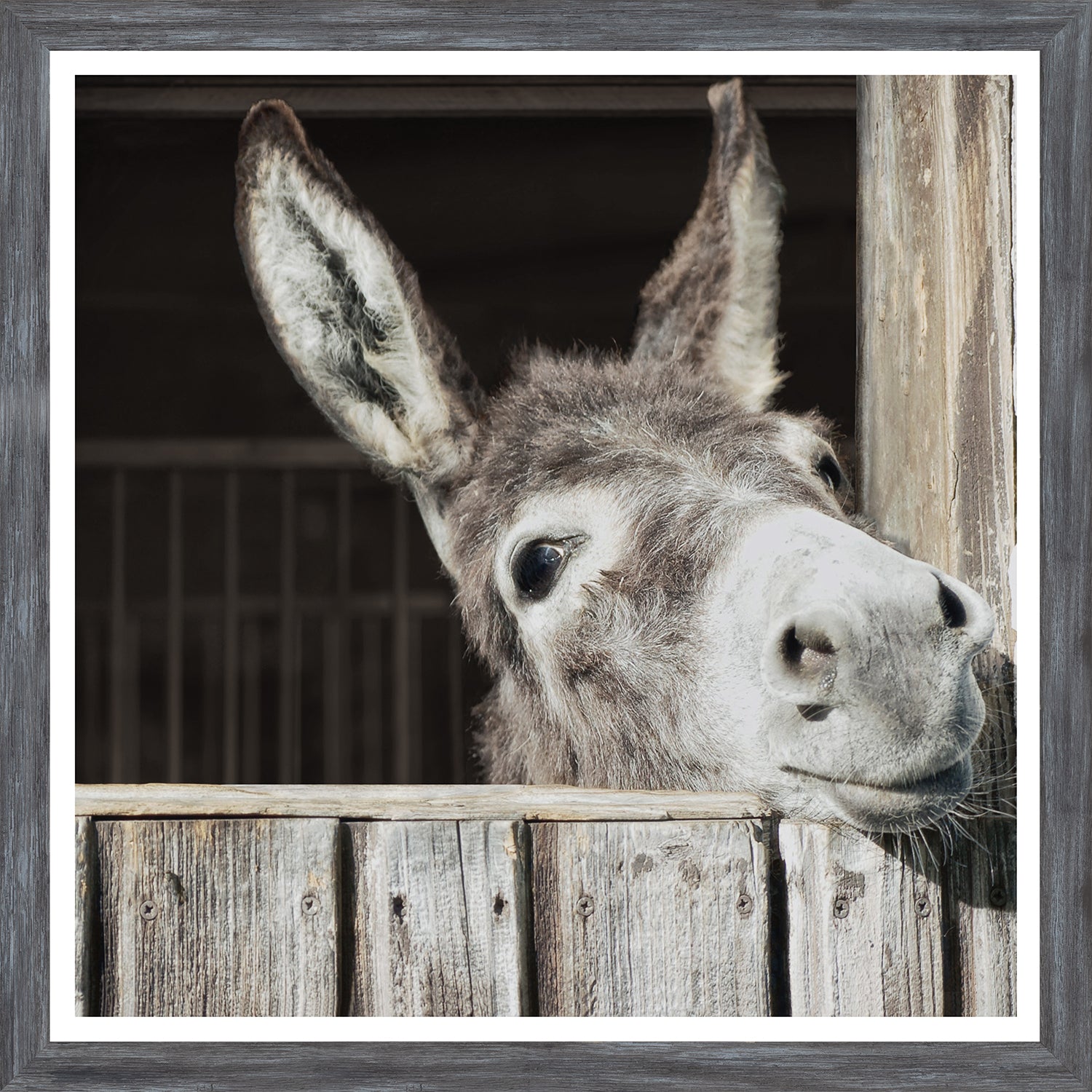 Happy Donkey — nature and landscape fine art print in neutral tones at Laurie Yapp Home