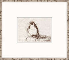 15 × 13 po – Encadré sous verre
