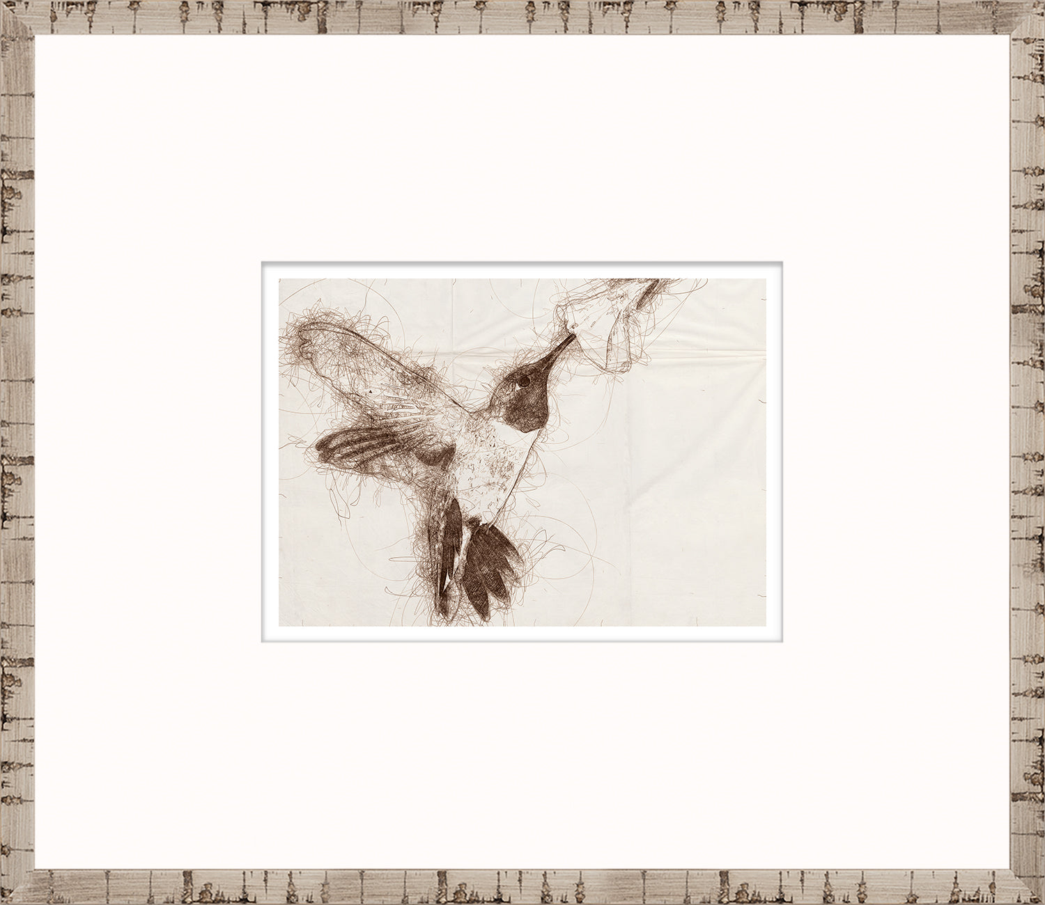 Nature Sketch – Hummingbird I — nature and landscape fine art print in neutral tones at Laurie Yapp Home