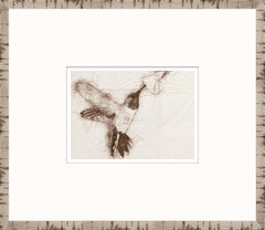 15 × 13 po – Encadré sous verre
