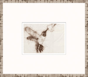 Nature Sketch – Hummingbird I — nature and landscape fine art print in neutral tones at Laurie Yapp Home