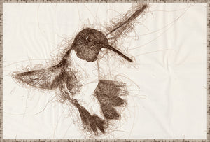 Nature Sketch – Hummingbird II wall art featuring a brown sketch of a hummingbird on a light background.