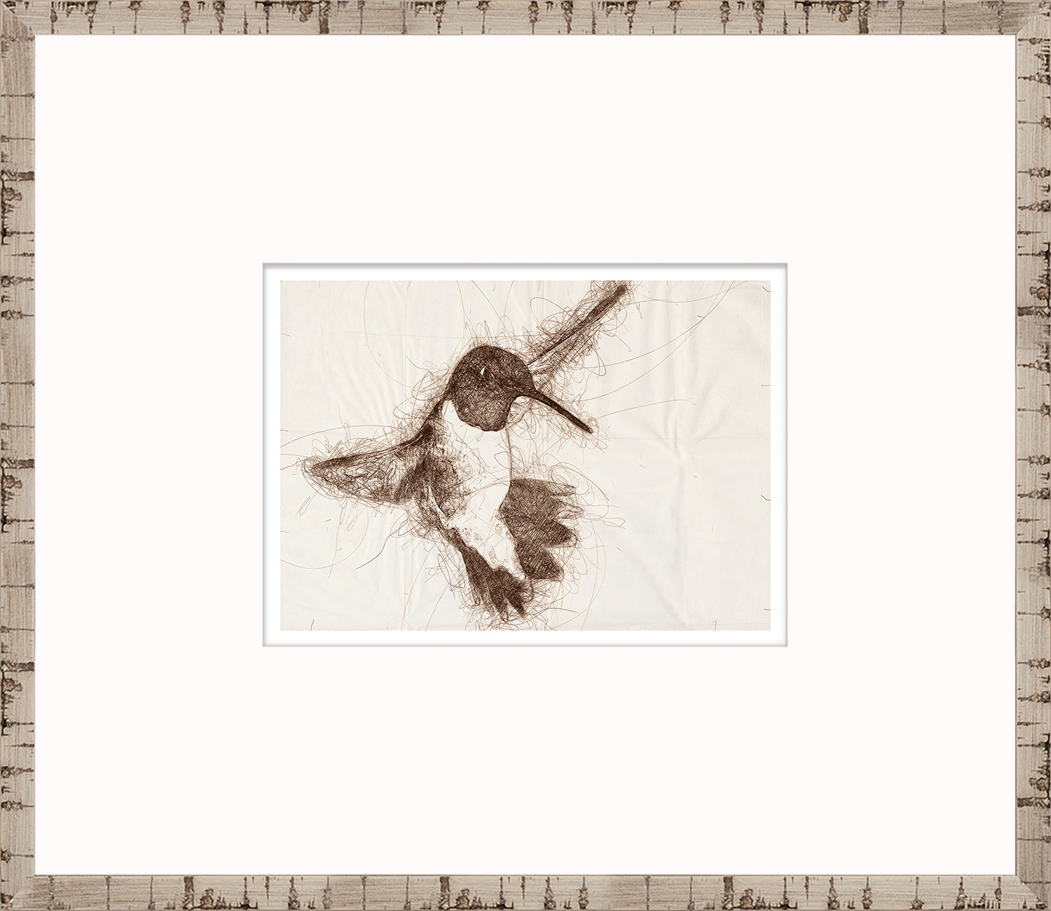 Nature Sketch – Hummingbird II — nature and landscape fine art print in neutral tones at Laurie Yapp Home