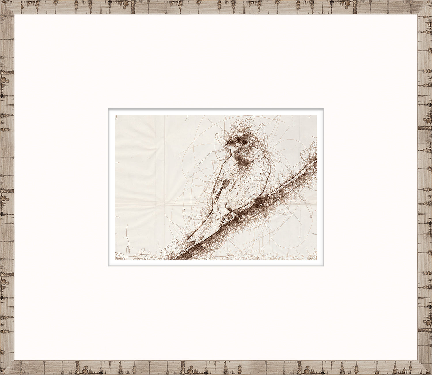 Nature Sketch – Grosbeak — nature and landscape fine art print in neutral tones at Laurie Yapp Home