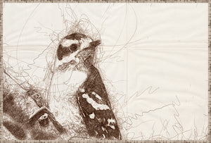 Nature Sketch – Woodpecker II wall art featuring a detailed sketch of a woodpecker in brown tones.