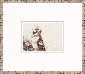 Nature Sketch – Woodpecker II — nature and landscape fine art print in neutral tones at Laurie Yapp Home