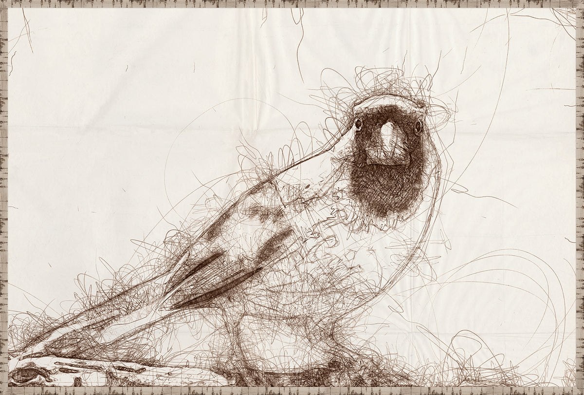 Nature Sketch Cardinal Pair Bundle — nature and landscape fine art print in warm tones at Laurie Yapp Home