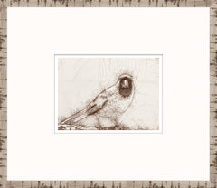 15 × 13 po – Cadre en verre