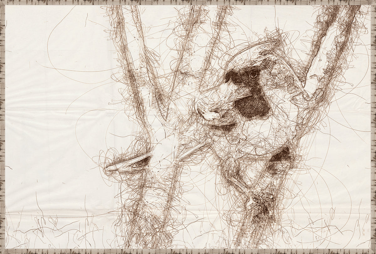Nature Sketch Cardinal Pair Bundle — nature and landscape fine art print shown from another angle