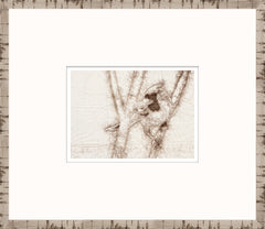 38,1 x 33 cm – Encadré sous verre