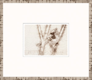 Nature Sketch – Cardinal II — nature and landscape fine art print shown from another angle