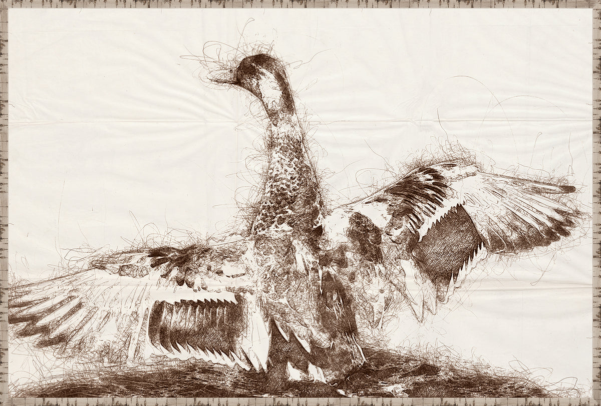 Nature Sketch – Wingspan wall art featuring a detailed bird illustration in brown tones.