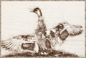 Nature Sketch – Wingspan wall art featuring a detailed bird illustration in brown tones.