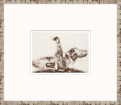 15 × 13 po – Encadré sous verre