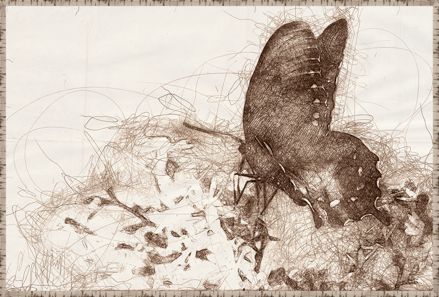 Nature Sketch Insect Quartet Bundle — nature and landscape fine art print in neutral tones at Laurie Yapp Home