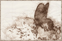 94 × 63,5 cm – Toile contrecollée sur carton