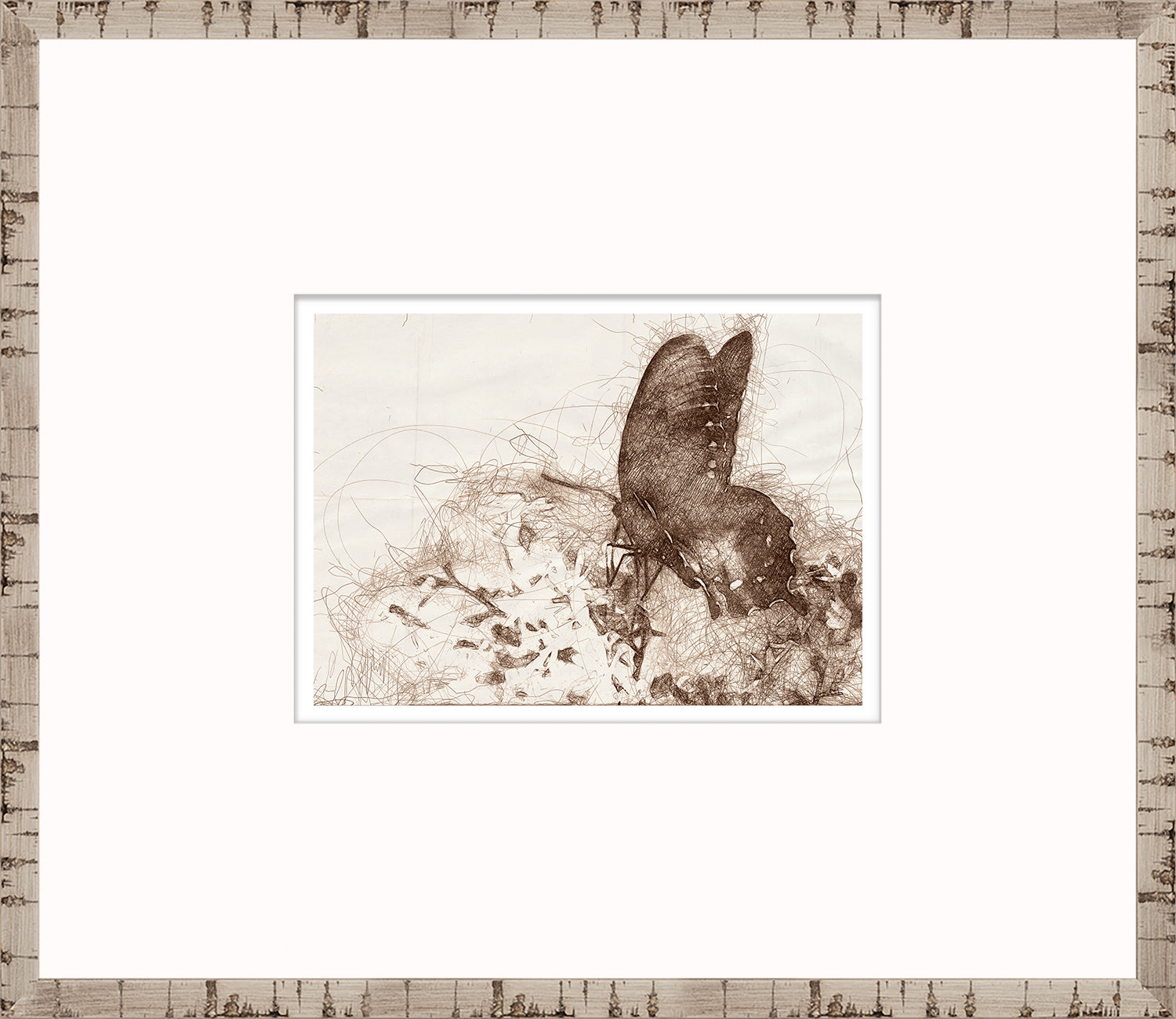Nature Sketch – Butterfly — nature and landscape fine art print shown from another angle