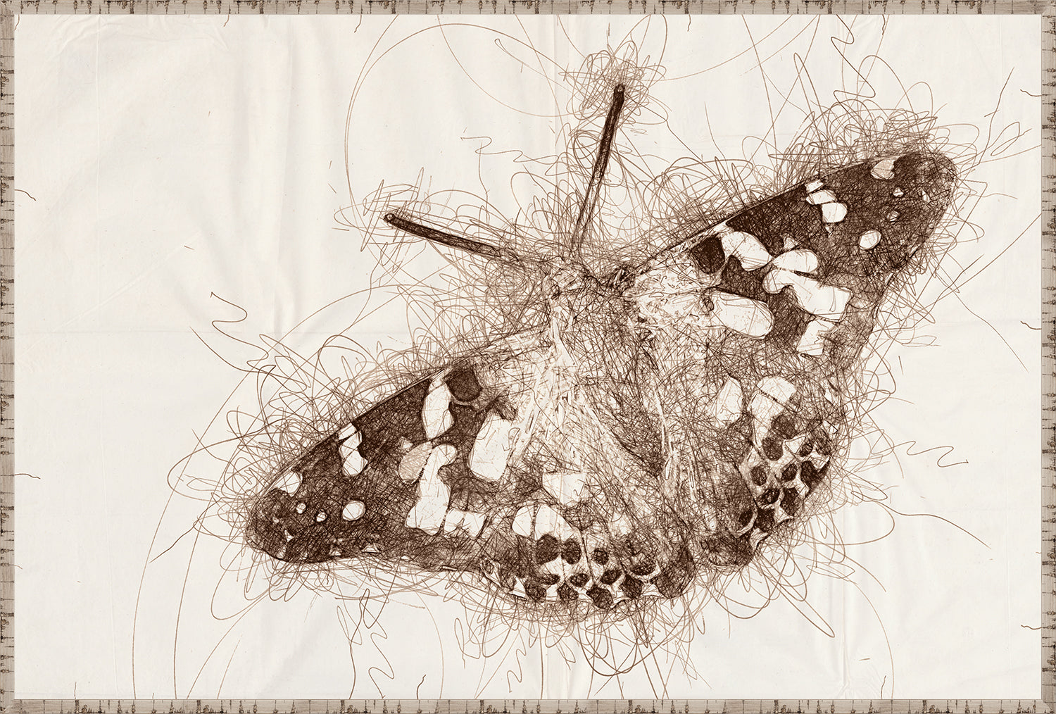 Nature Sketch Insect Quartet Bundle — nature and landscape fine art print shown from another angle