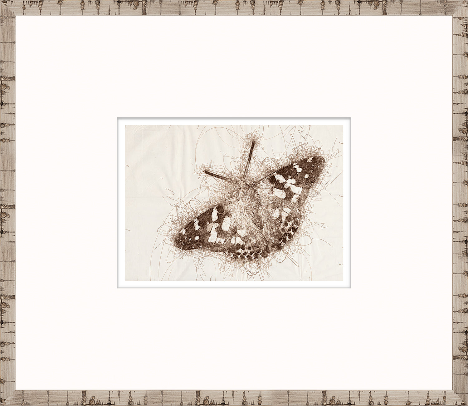Nature Sketch – Moth — nature and landscape fine art print shown from another angle