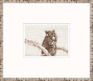 Nature Sketch – Owl — nature and landscape fine art print in neutral tones at Laurie Yapp Home