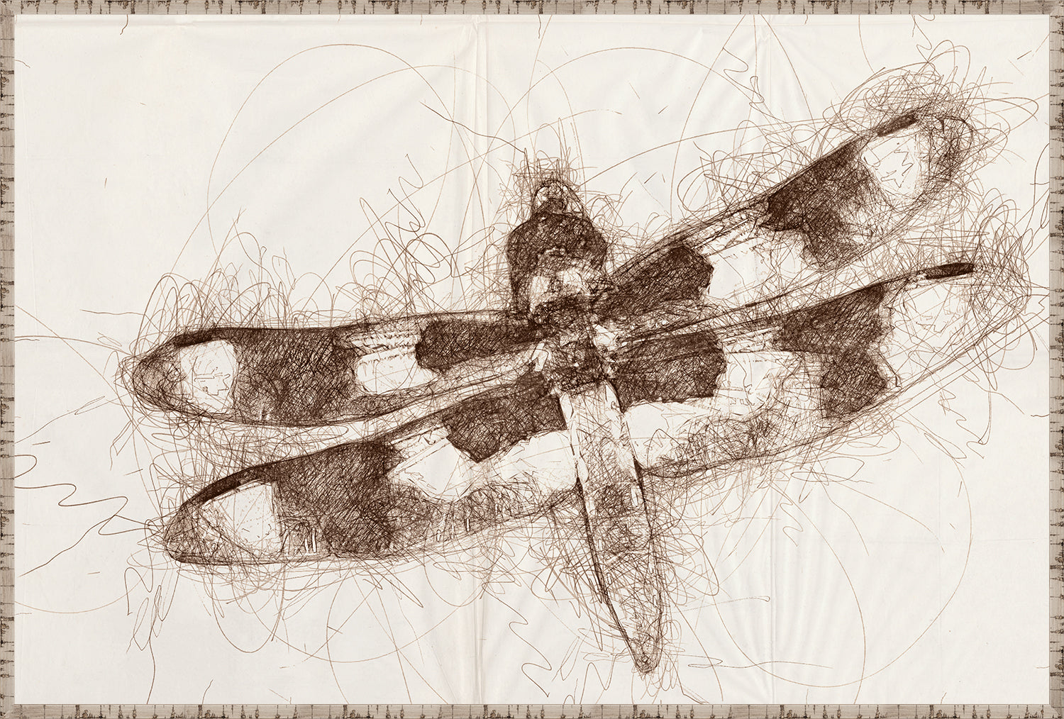 Nature Sketch Dragonfly Pair Bundle - composite