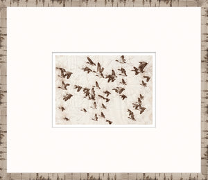Nature Sketch – Flock — nature and landscape fine art print in neutral tones at Laurie Yapp Home