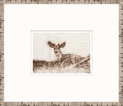 15 × 13 po – Encadré sous verre