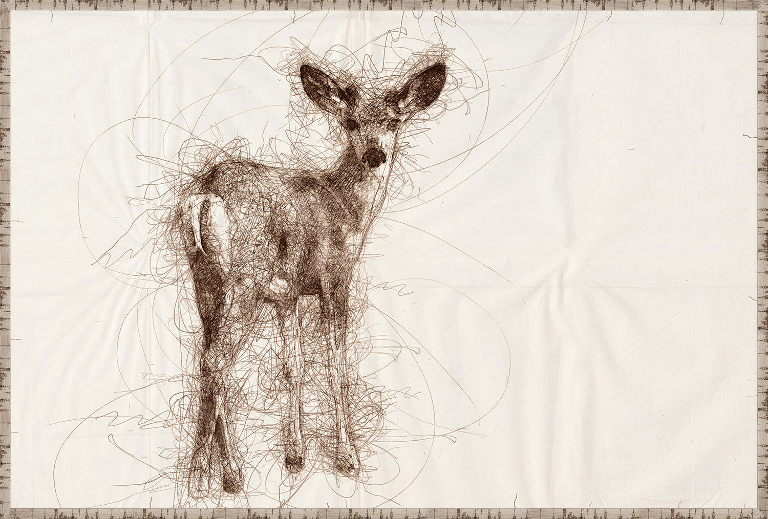 Nature Sketch Fawn I