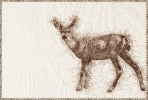 Nature Sketch Fawn II