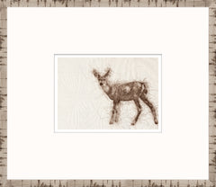 15 × 13 po – Cadre en verre