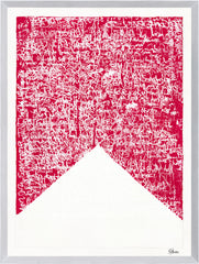 21,5 × 28,5 po