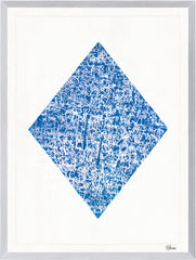 21,5 × 28,5 po